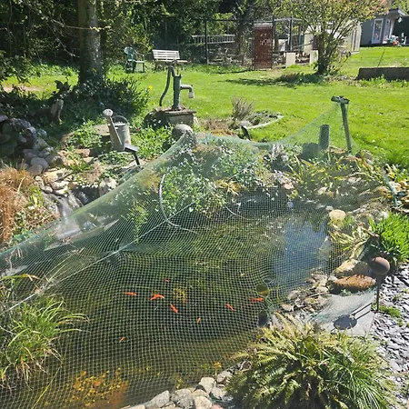 Ewergass In - Nur 8 Km Von Trier - Kostenl Oepnv-ticket Ab 04-26 Tatil Evi *