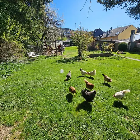 Nyaraló Ewergass In - Nur 8 Km Von Trier - Kostenl Oepnv-ticket Ab 04-26 Mertesdorf