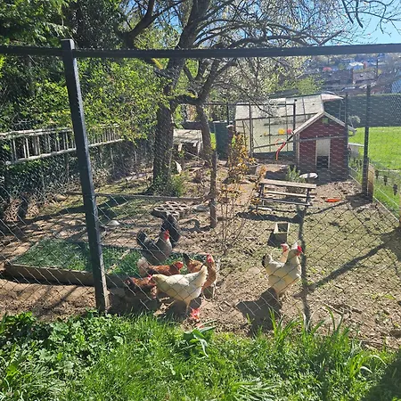 Tatil Evi Ewergass In - Nur 8 Km Von Trier - Kostenl Oepnv-ticket Ab 04-26 *