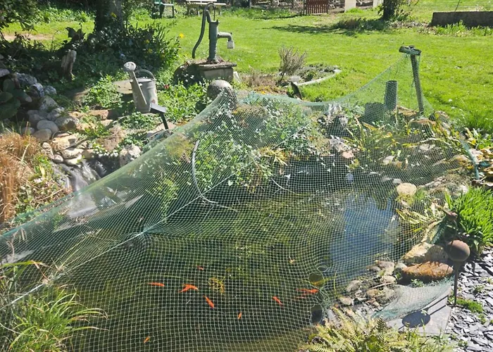 Ewergass In - Nur 8 Km Von Trier - Kostenl Oepnv-ticket Ab 04-26 Casa de Férias *