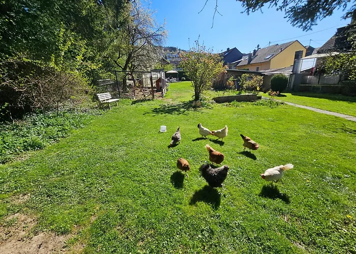 Casa de Férias Ewergass In - Nur 8 Km Von Trier - Kostenl Oepnv-ticket Ab 04-26 Mertesdorf