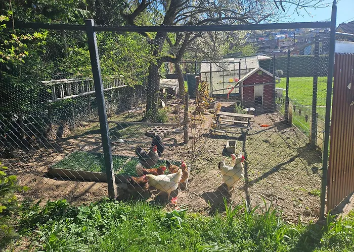 Casa de Férias Ewergass In - Nur 8 Km Von Trier - Kostenl Oepnv-ticket Ab 04-26 *